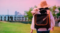 Bolsa de viaje para mascotas, diseñada para viajes en avión, con características de seguridad y confort.